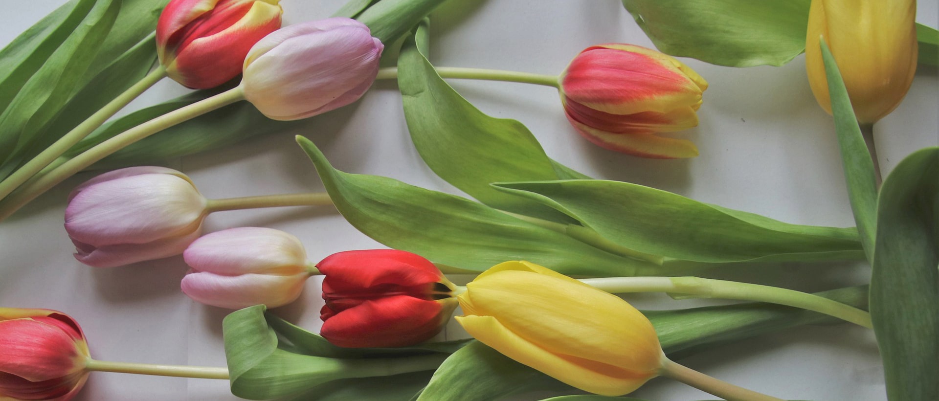 С 8 марта 2026